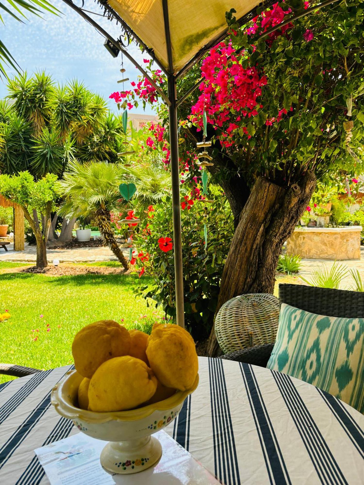 Casita Limon * Andratx
